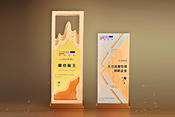 易币付 易币国际一举斩获“2024年度中国区最佳雇主”等多项大奖