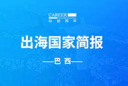 易币付 易币GO GLOBAL | 巴西国家简报